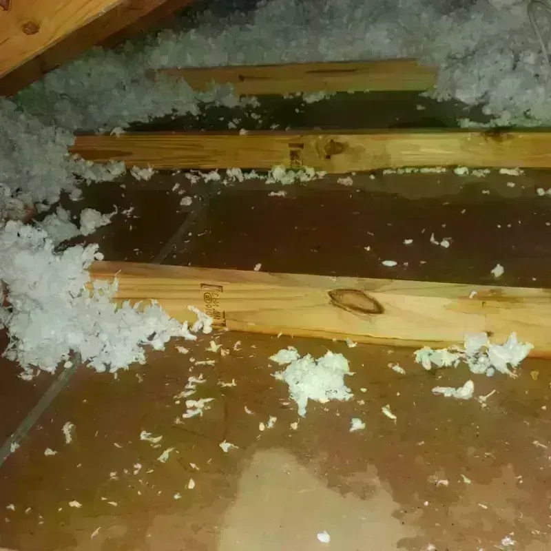 Attic Water Damage in Eglin Village, FL