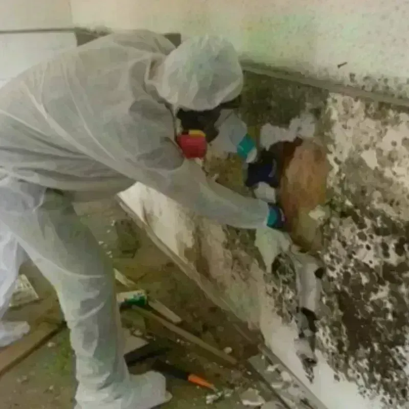 Mold Remediation and Removal in Eglin Village, FL